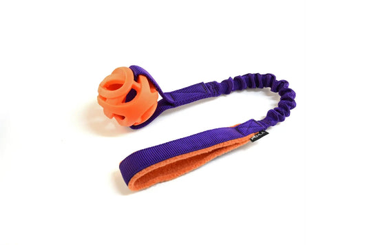 Chuckit Breathe Right with Bungee Handle