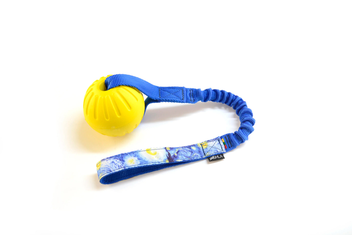 Bungee with Foam Ball